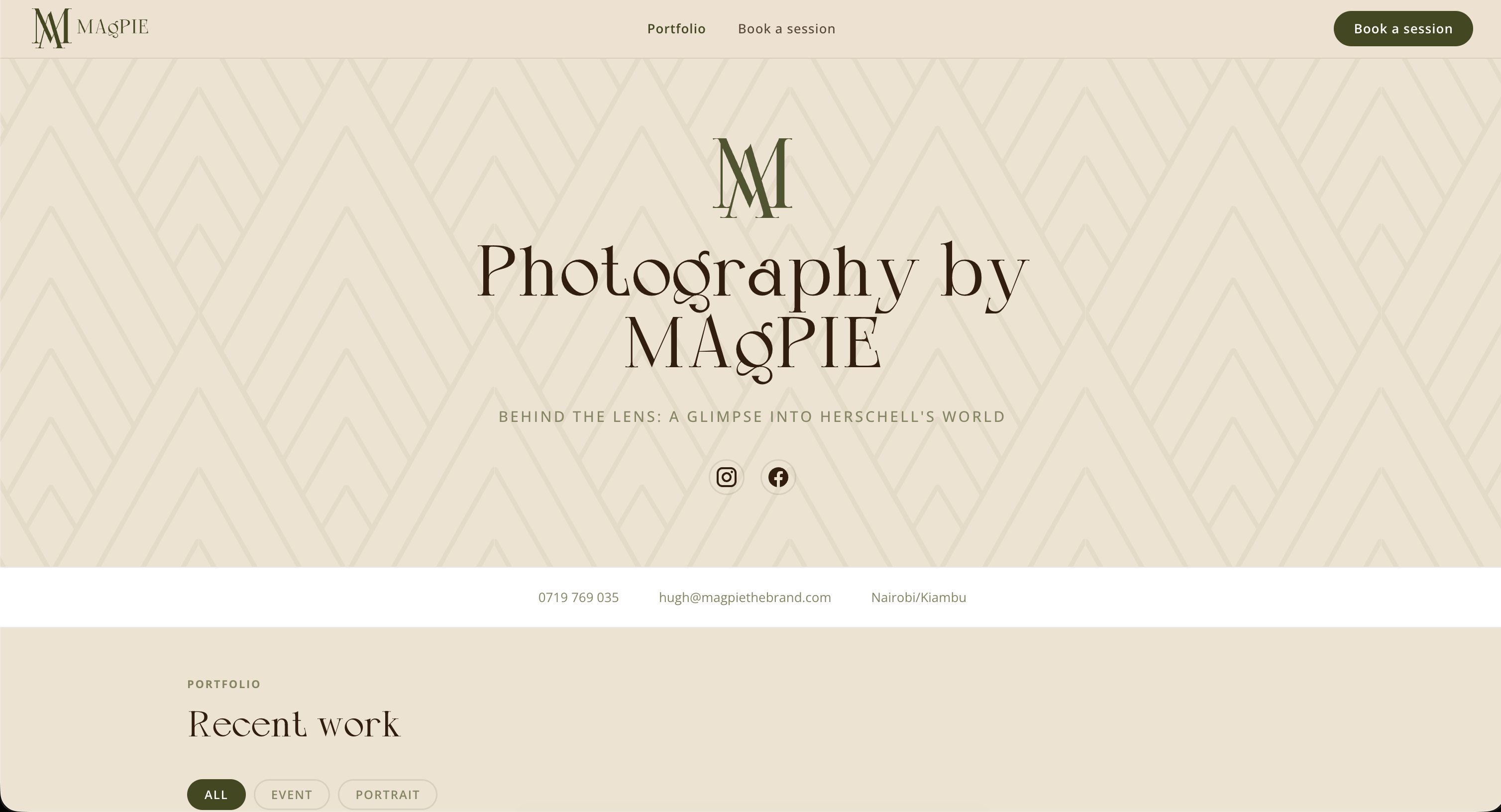 MAgPIE Studio project image